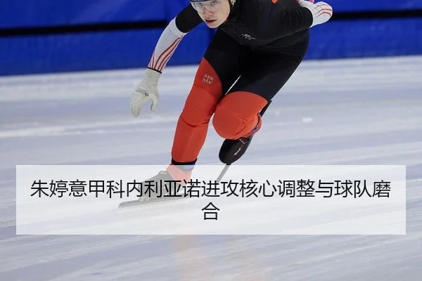 zhu-ting-yi-jia-ke-nei-li-ya-nuo-jin-gong-he-xin-tiao-zheng-yu-qiu-dui-mo-he-3-410.jpg