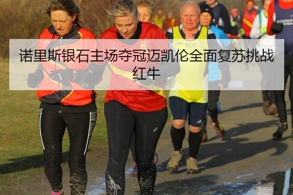 诺里斯银石主场夺冠迈凯伦全面复苏挑战红牛