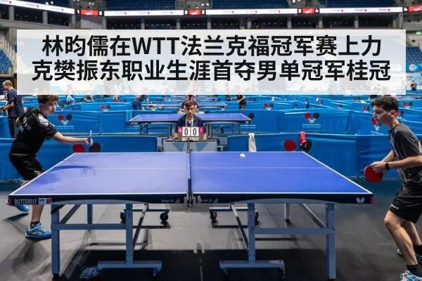 professional table tennis match