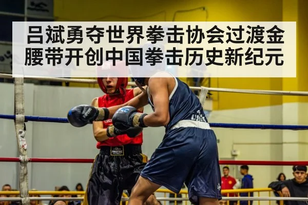 boxing match action