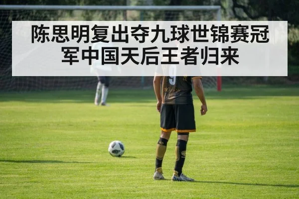 陈思明复出夺九球世锦赛冠军中国天后王者归来